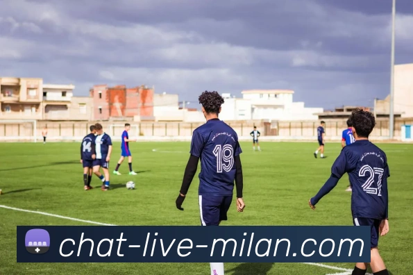 官方推荐入口服务体系